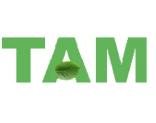 新井