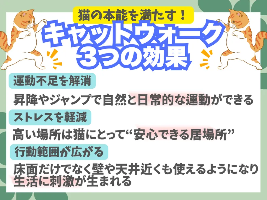 キャットウォーク3つの効果