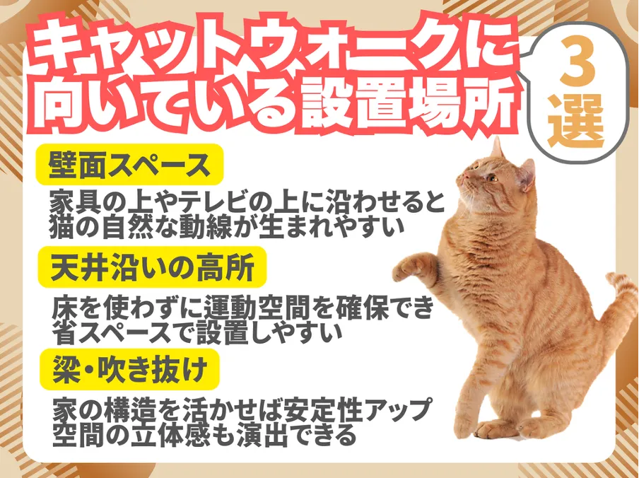 キャットウォーク設置に向いている場所3選